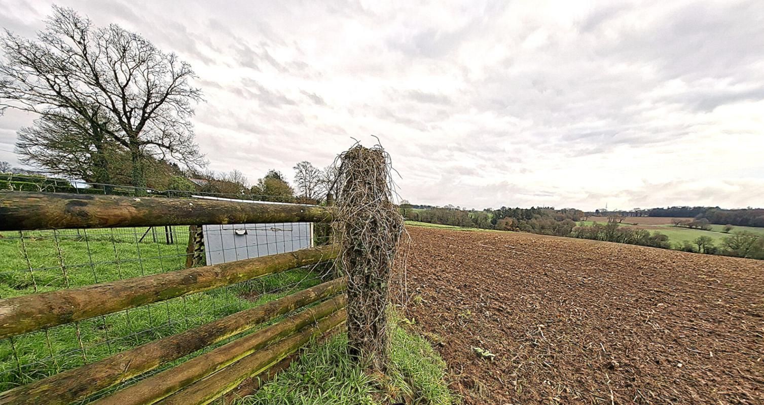 REGUINY Terrain agricole Radenac pour Propriétaire de chevaux ou agriculteur 2