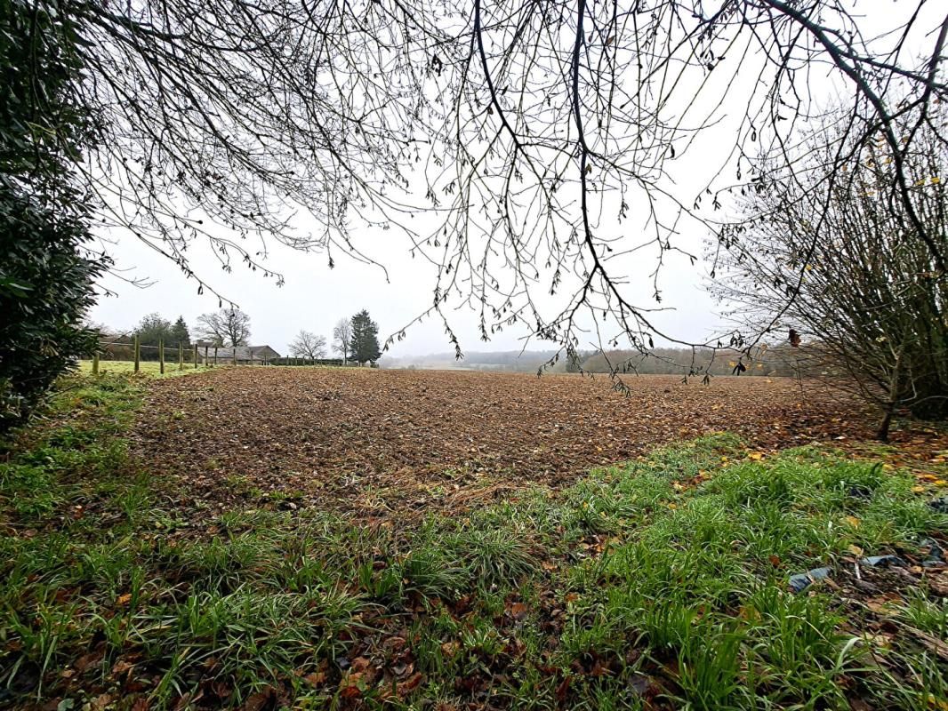 REGUINY Terrain agricole Radenac pour Propriétaire de chevaux ou agriculteur 4