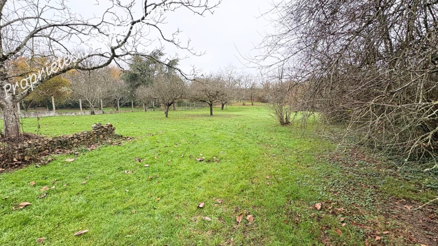 BLOIS Terrain Blois 2014 m2 3