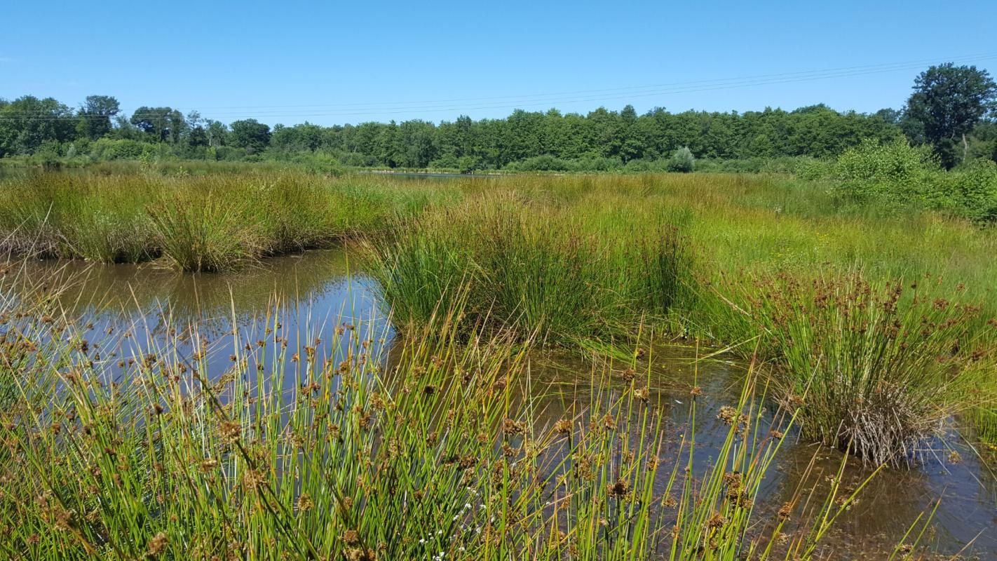 BRINON-SUR-SAULDRE Propriété de chasse et d'agrément 2