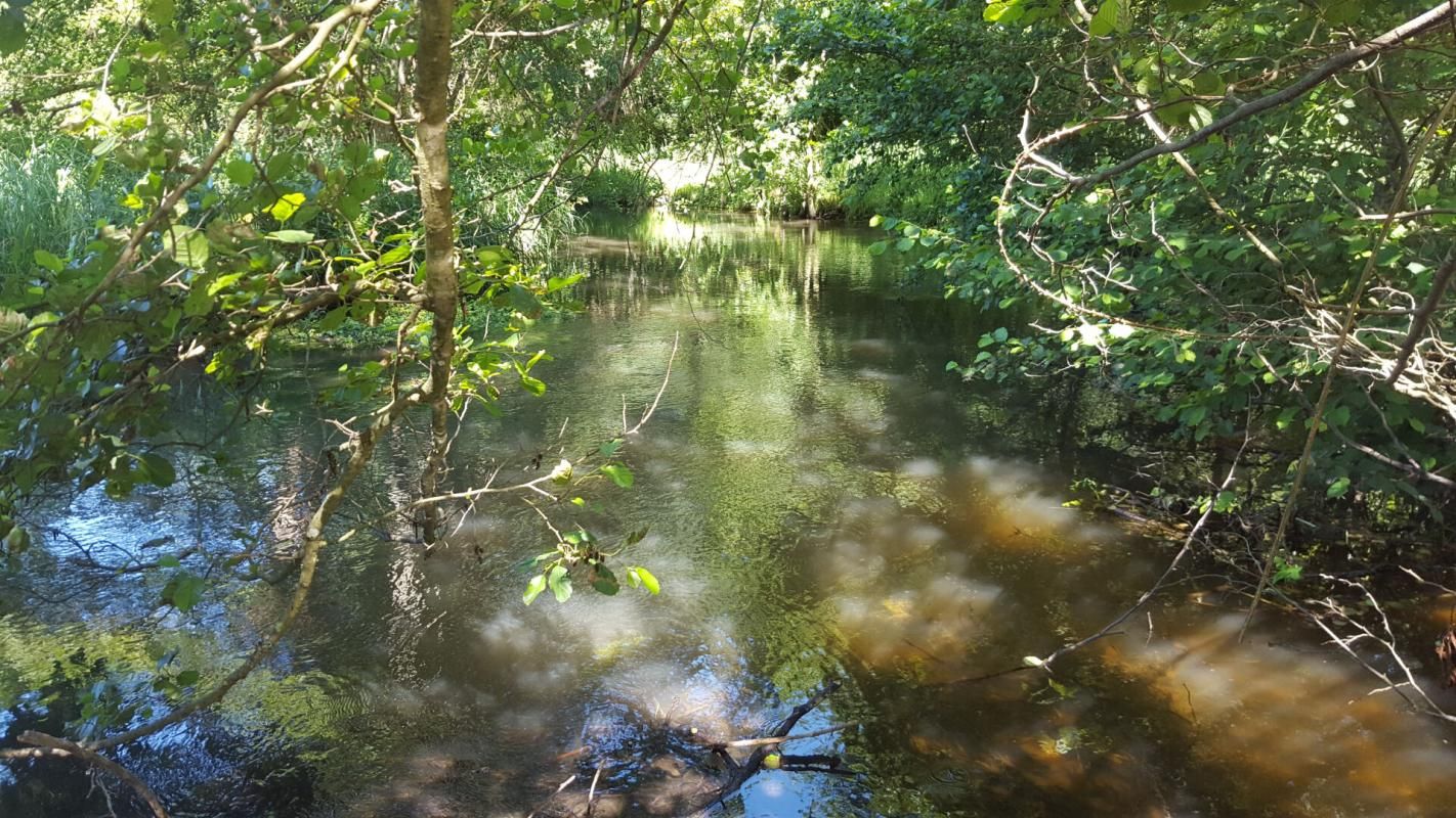 BRINON-SUR-SAULDRE Propriété de chasse et d'agrément 4