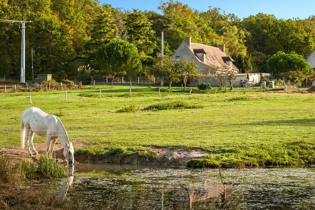 FAVERDINES Domaine agricole & équestre de 15 hectares  À proximité de Saint-Amand-Montrond 3