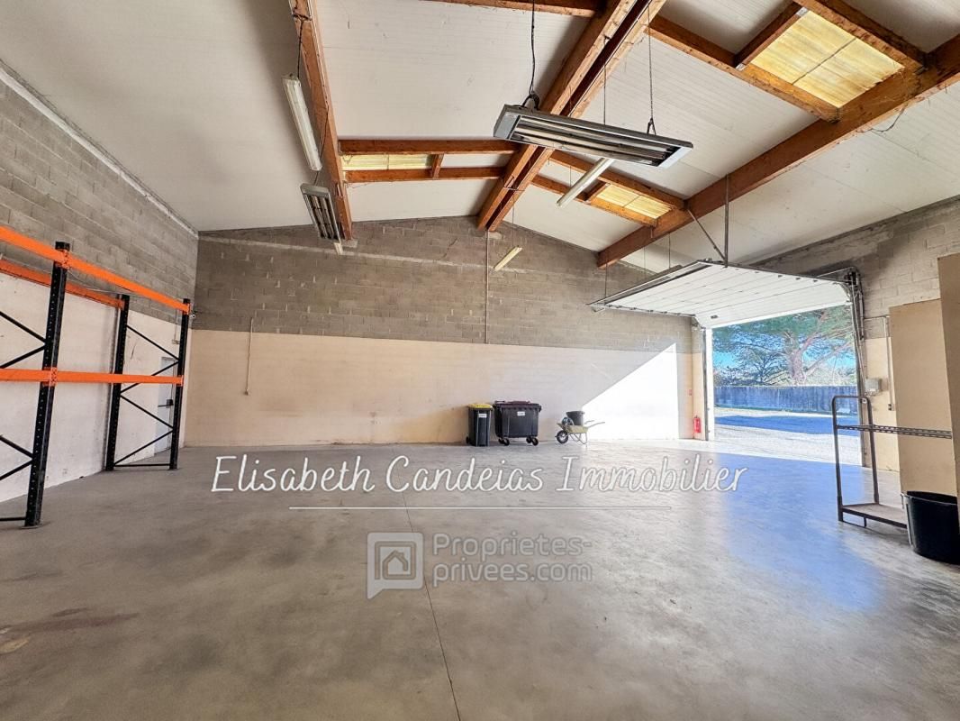 CUGNAUX 31 CUGNAUX - Bureaux et Entrepôt 280 m² 1
