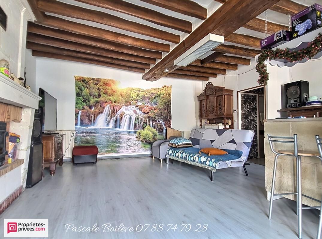 NOYANT-VILLAGES Maison 200 m² avec 7500 m²  - NOYANT-VILLAGES (49390) 4