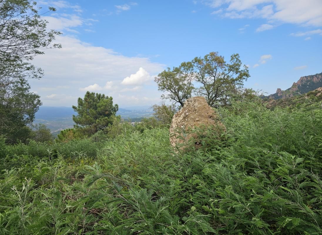 MANDELIEU-LA-NAPOULE Terrain à bâtir dans le Parc Résidentiel de l'Estérel Mandelieu 21850 m2 3