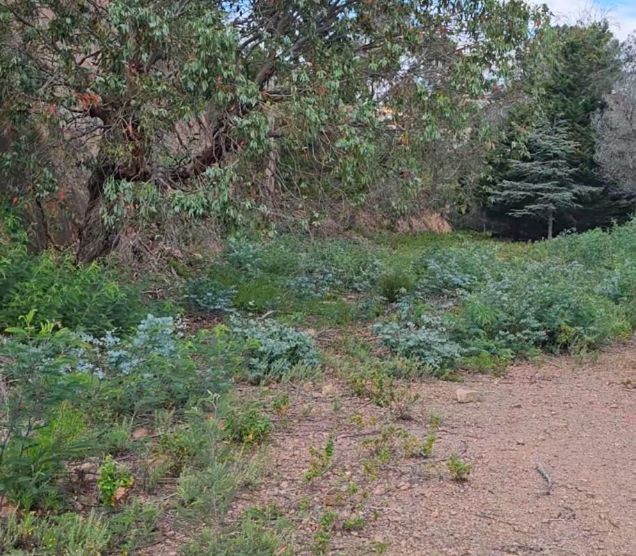 MANDELIEU-LA-NAPOULE Terrain à bâtir dans le Parc Résidentiel de l'Estérel Mandelieu 21850 m2 4