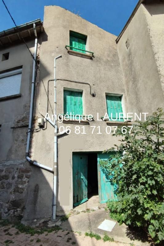 Maison Saint Maurice En Gourgois 3 pièce(s) 52 m2