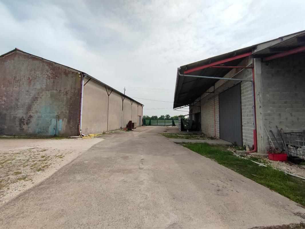 ENTREPOTS 1000 m² avec parking et terrain 3000 m²