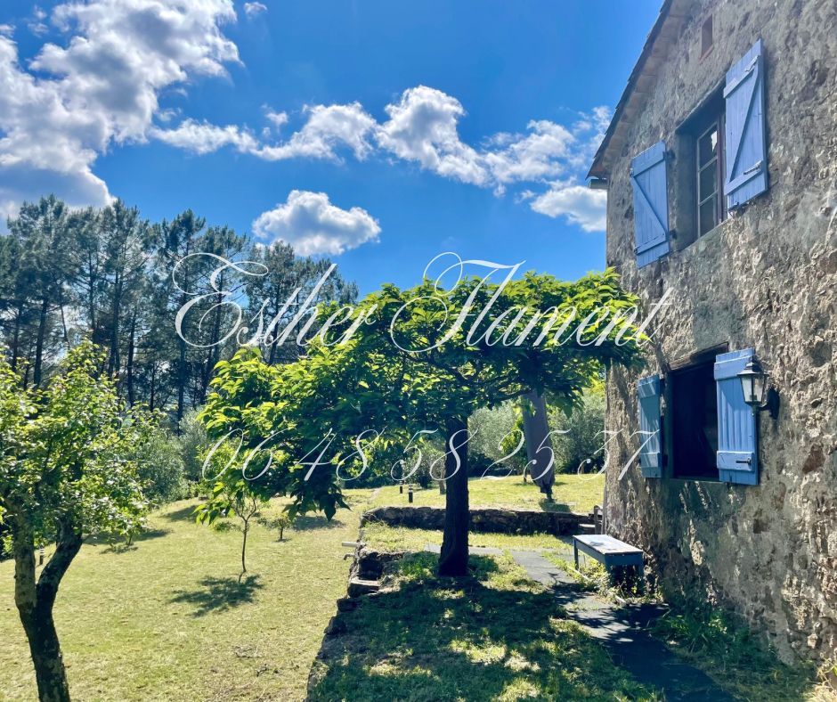 LASALLE TERRAIN 2000 M2 ET MAZET RENOVE 1