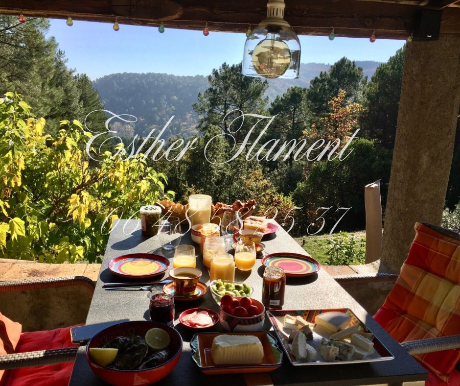 LASALLE TERRAIN 2000 M2 ET MAZET RENOVE 3