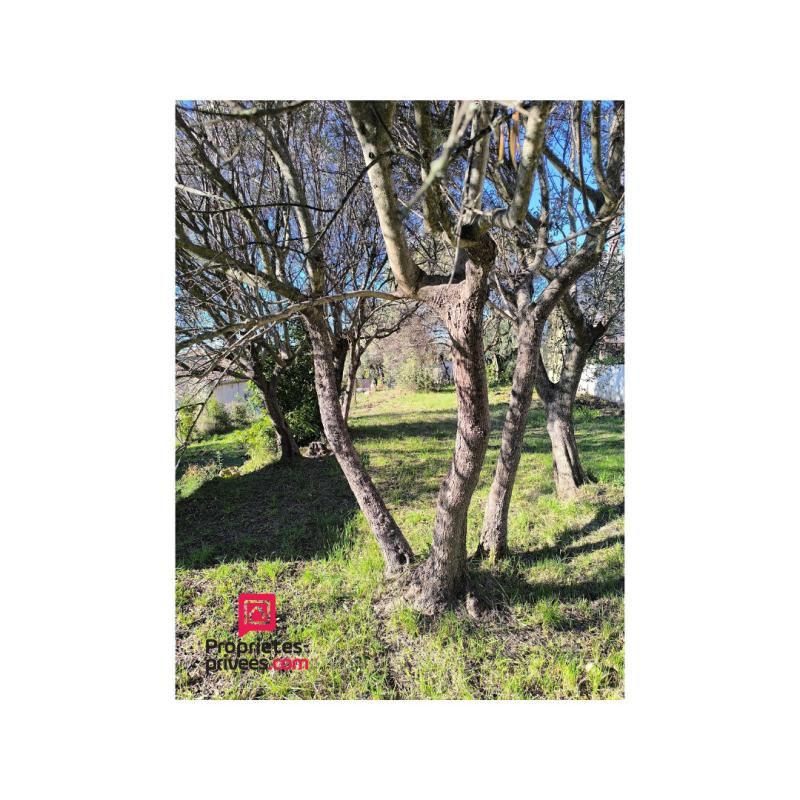 DRAGUIGNAN Terrain Draguignan 1000 m2 3