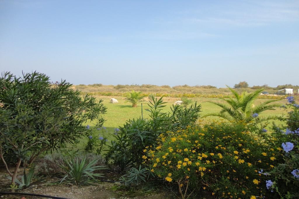 SAINT-CYPRIEN Appartement Saint Cyprien 3 pièce(s) 48.76 m2 4