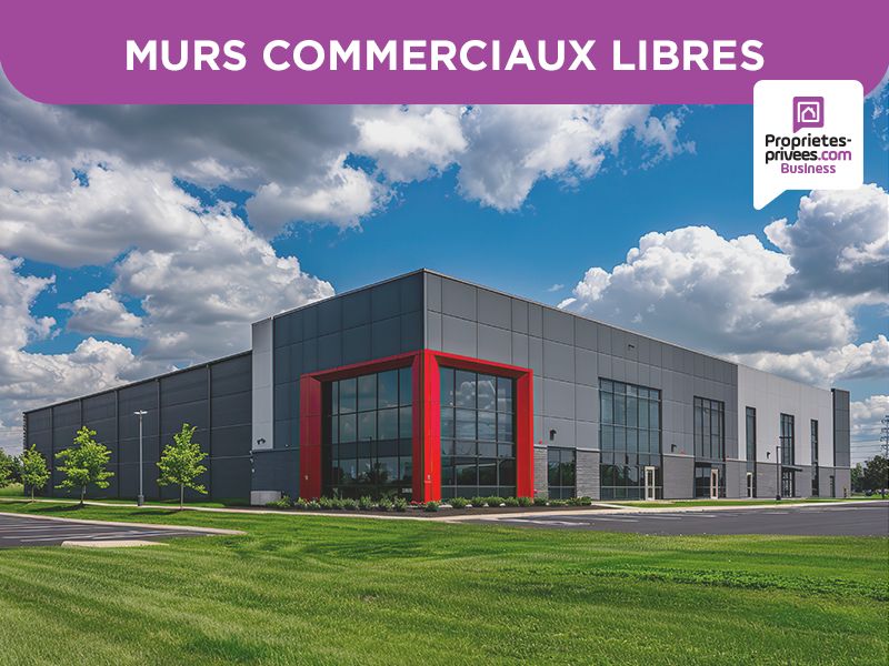 ARGENTEUIL 95100 ARGENTEUIL - MURS COMMERCIAUX LIBRES, Local commercial 690 m² 1