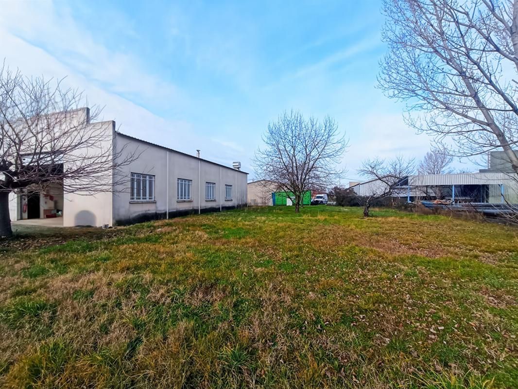 ALBI 81000 ALBI - LOCAL D'ACTIVITE , ENTREPOT 300 M² 3