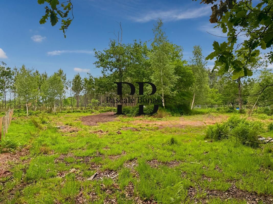 VENDAYS-MONTALIVET VENDAYS MONTALIVET - Terrain 2327m2 avec Hangar agricole 1