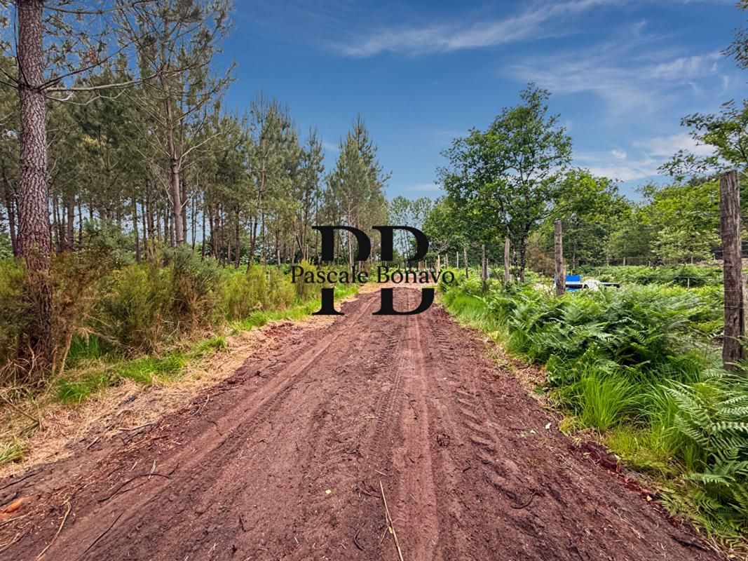 VENDAYS-MONTALIVET VENDAYS MONTALIVET - Terrain 2327m2 avec Hangar agricole 3