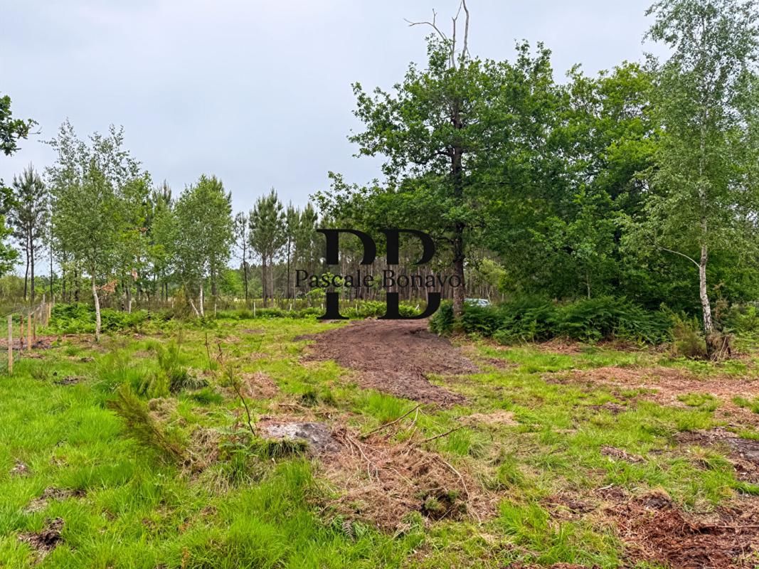 VENDAYS-MONTALIVET VENDAYS MONTALIVET - Terrain 2327m2 avec Hangar agricole 4