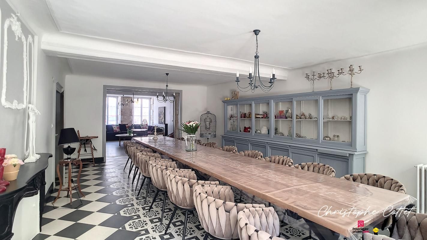 CHAUVIGNY Demeure de charme Chauvigny - 9 pièce(s) 330 m2 3