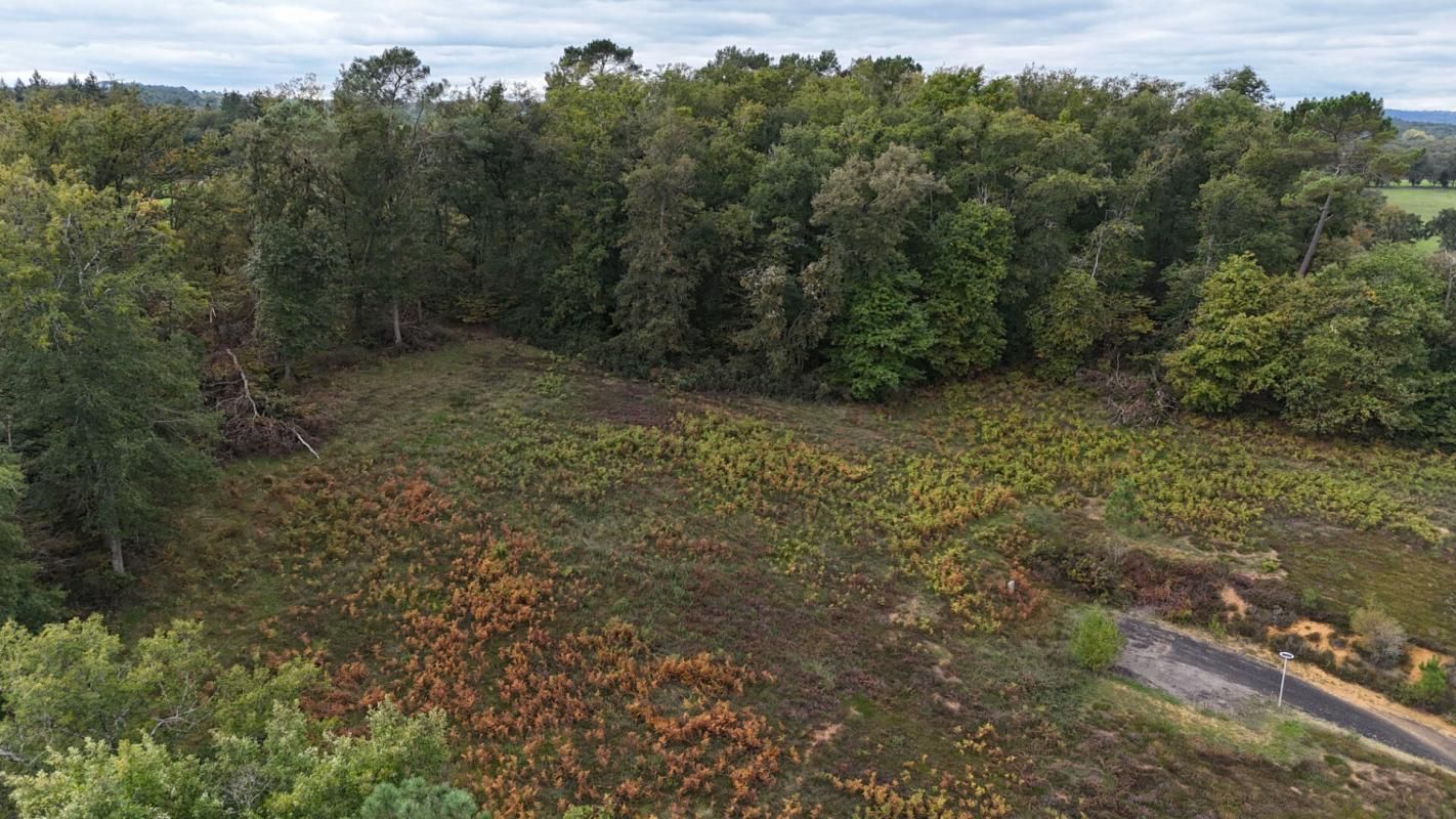 Terrains constructible de 9459 m2