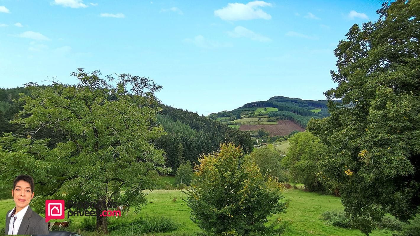 SAINT-VINCENT-DE-REINS SAINT VINCENT DE REINS (69240) Maison en pierre 150 m², 4 chambres, terrain 1500 m² , piscine 4