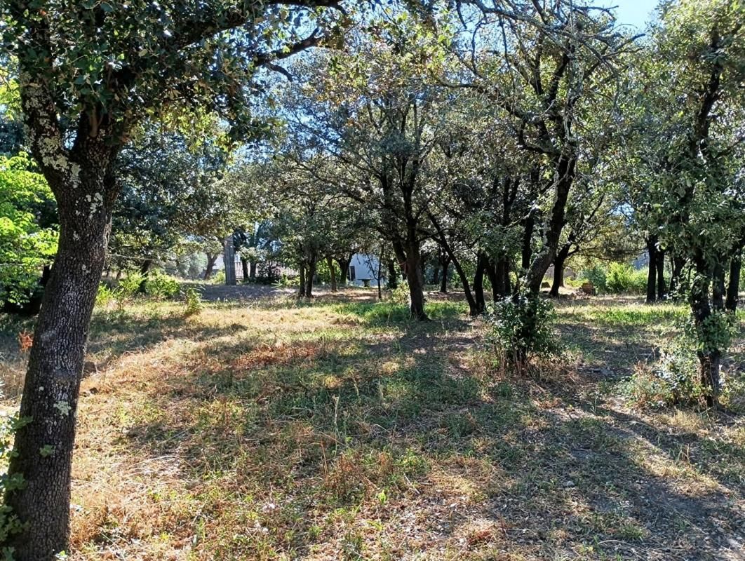 SAINT-SEBASTIEN-D'AIGREFEUILLE Mas en pierres mitoyen proche Anduze sur terrain constructible de 3300 m2 3