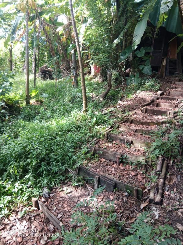 FORT-DE-FRANCE Terrain ravine vilaine 840m2 1