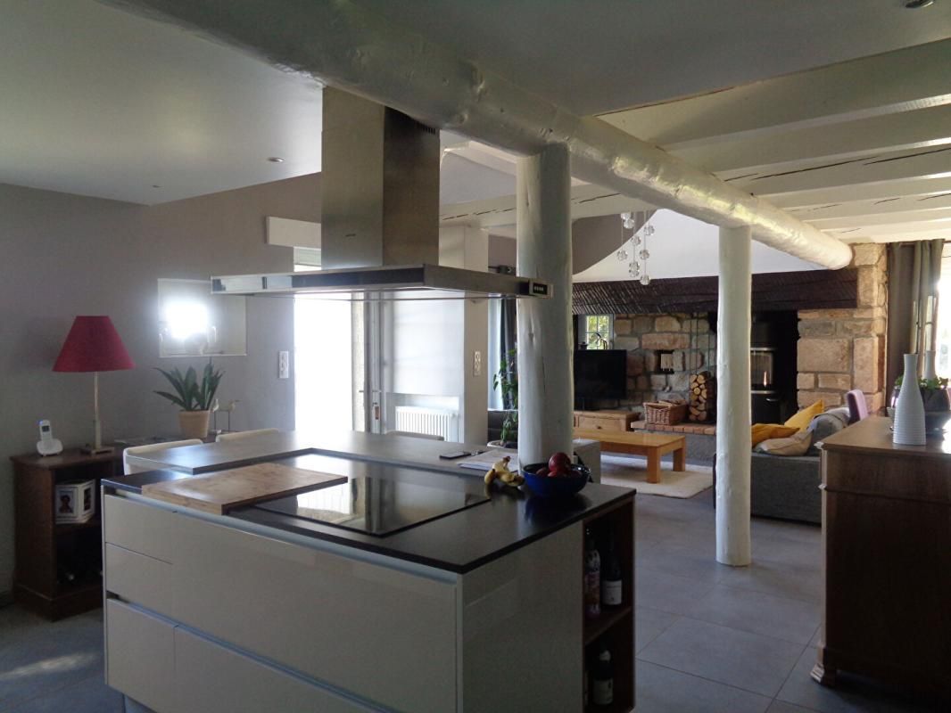 LE PERTUIS Le Pertuis(43), maison de 120 m2 habitables, 3 chambres, piscine sur 3.444 m2 de terrain 3