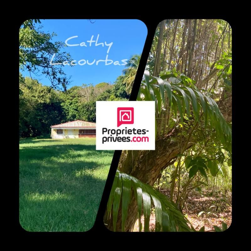 POINTE-NOIRE Terrain viabilisé 10000 m2 constructible accès littoral- Pointe Noire -Guadeloupe 1