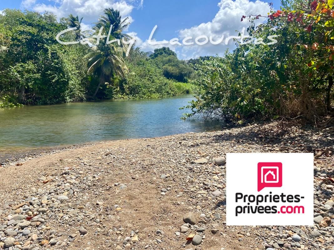 POINTE-NOIRE Terrain viabilisé 10000 m2 constructible accès littoral- Pointe Noire -Guadeloupe 3