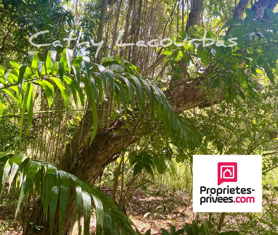 POINTE-NOIRE Terrain 4000 m2 accès littoral -Pointe Noire, Guadeloupe 2