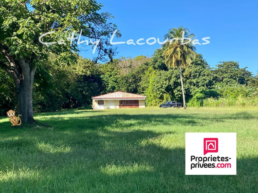 POINTE-NOIRE Maison à rénover sur 5000 M² de terrain constructible - Pointe Noire 1