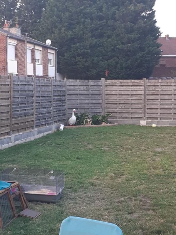 SOMAIN Maison semi individuelle à ERRE 4 chambres 4