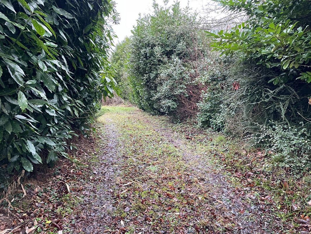 VILLIERS-SAINT-DENIS Terrain Villiers Saint Denis 1