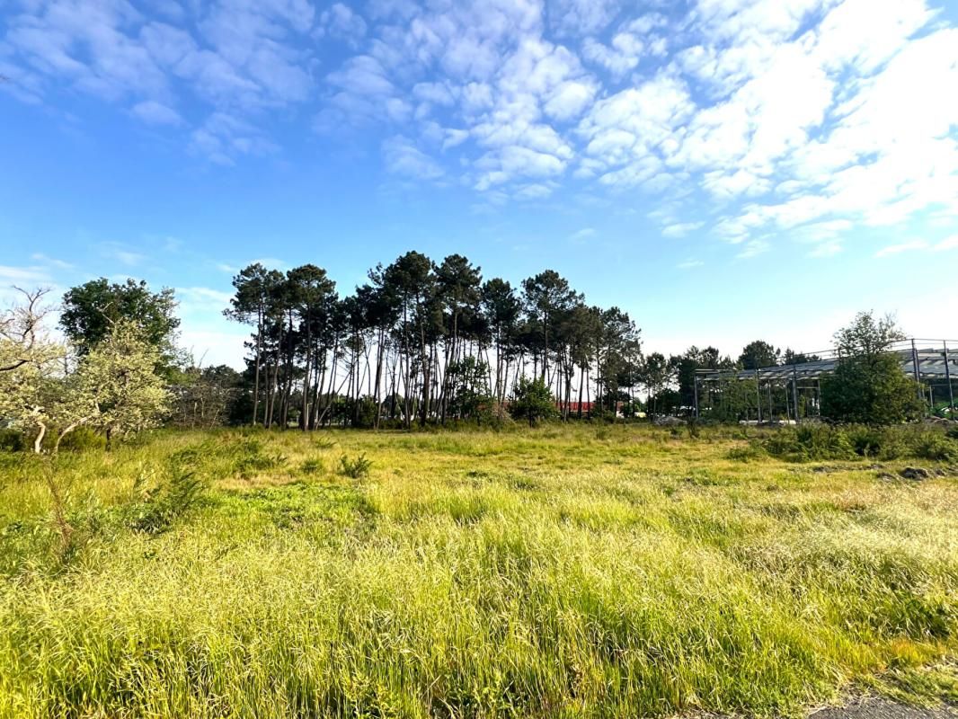 AUDENGE Bâtiment industriel neuf sur plan 800m2 Audenge 4