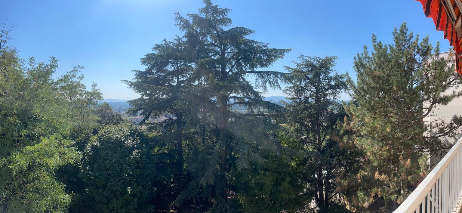 LYON-5E-ARRONDISSEMENT A VENDRE Exceptionnel - Exclusivité, grand Appartement T4 - T5  à Tassin La Demi Lune  limite Point du jour 3