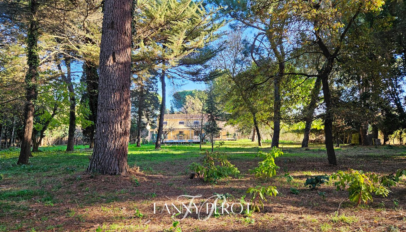ARGELES-SUR-MER A Argelès, maison de caractère de 220 m² sur grande parcelle arborée avec piscine 3