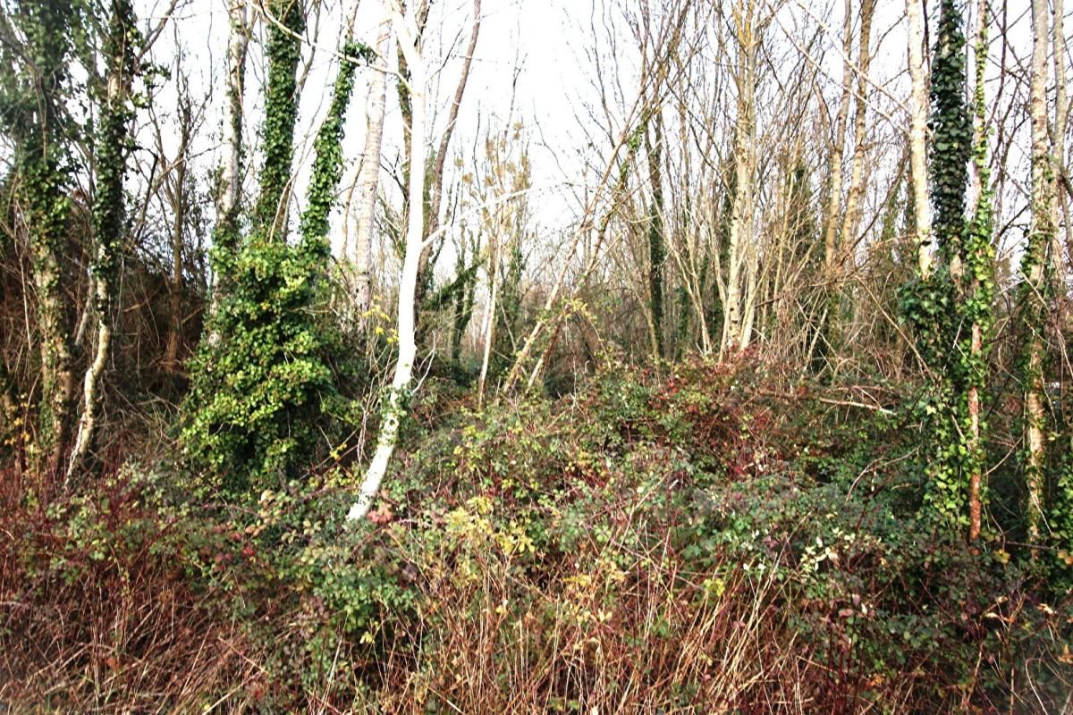 BELLUIRE Bois et Terrain de loisirs à Belluire 17800 2