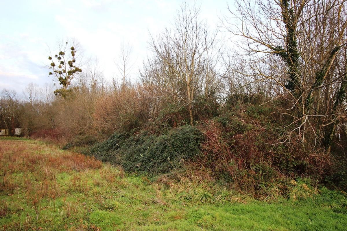 BELLUIRE Bois et Terrain de loisirs à Belluire 17800 3