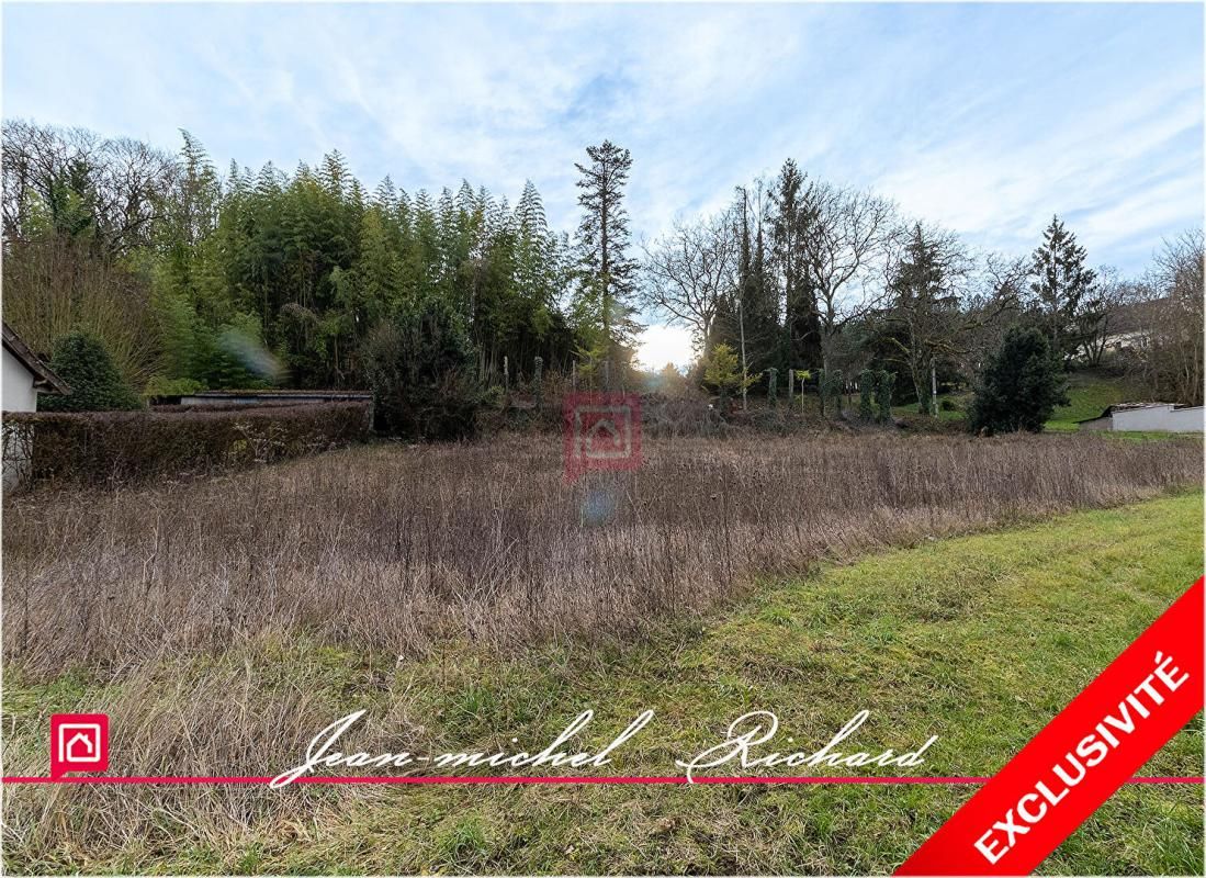 SEIGY Terrain Seigy 1050 m2 2