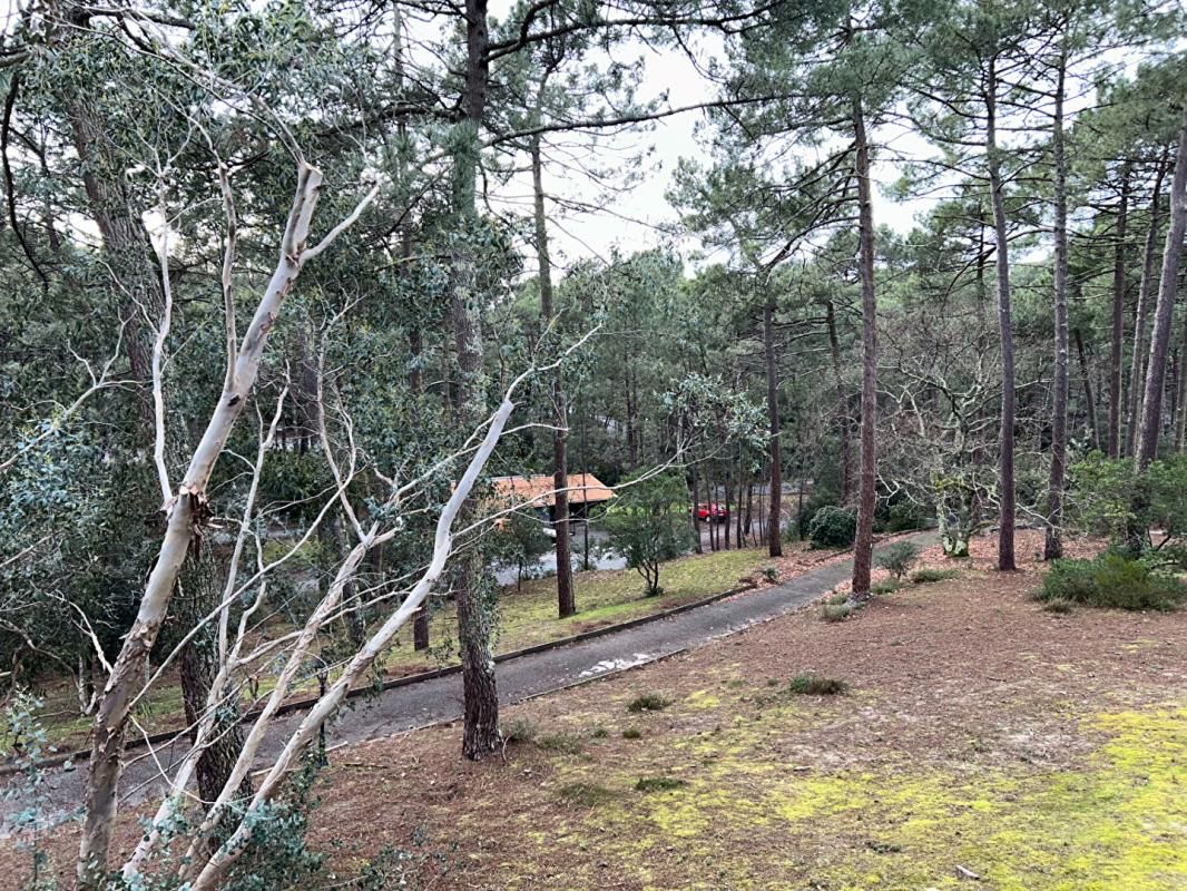 CARCANS Appartement 3 pièces à CARCANS MAUBUISSON 2