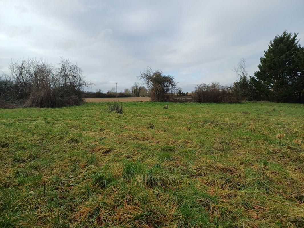 EPANNES La Rochénard - Terrain à bâtir de 2 200m² 4