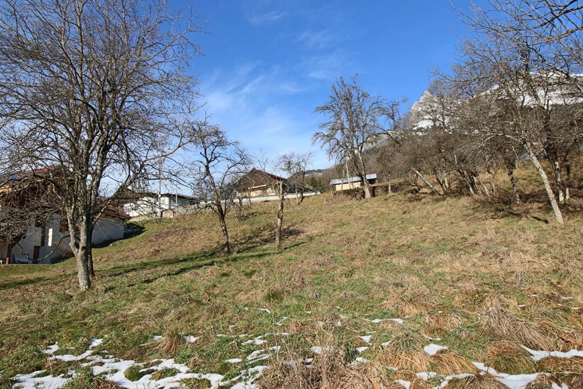 PASSY PASSY  COTEAU ,Terrain  constructible  2028 m2 EXPOSITION SUD 560 000 euros 3