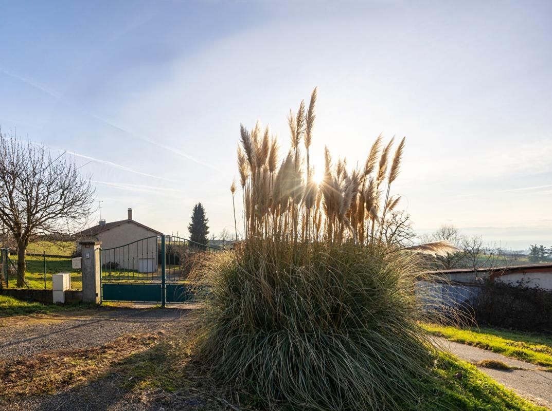 COTTANCE Villa posée au milieu des prés avec une superbe vue sur 2202 m² de terrain 3