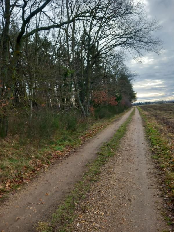 SAINT-PERE-SUR-LOIRE Terrain Saint Pere Sur Loire 31200 m2 4