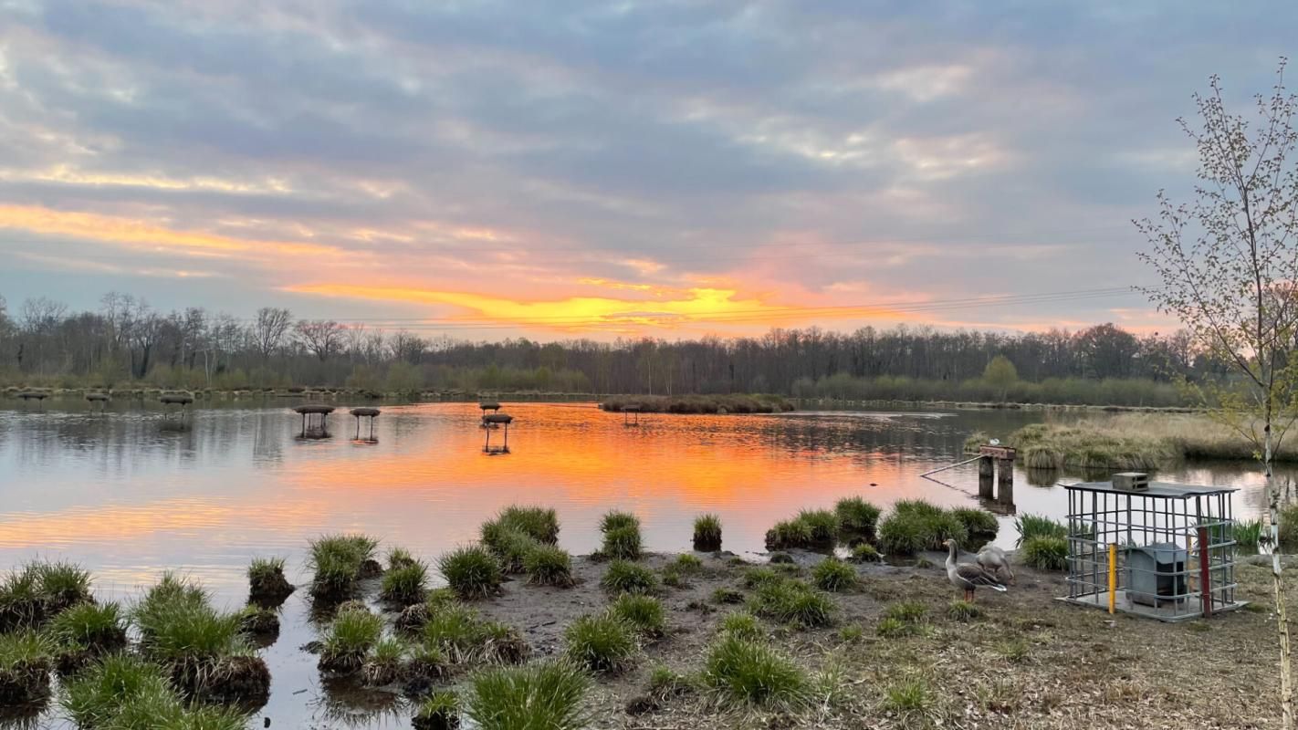 CLEMONT Propriété de chasse Clemont 1