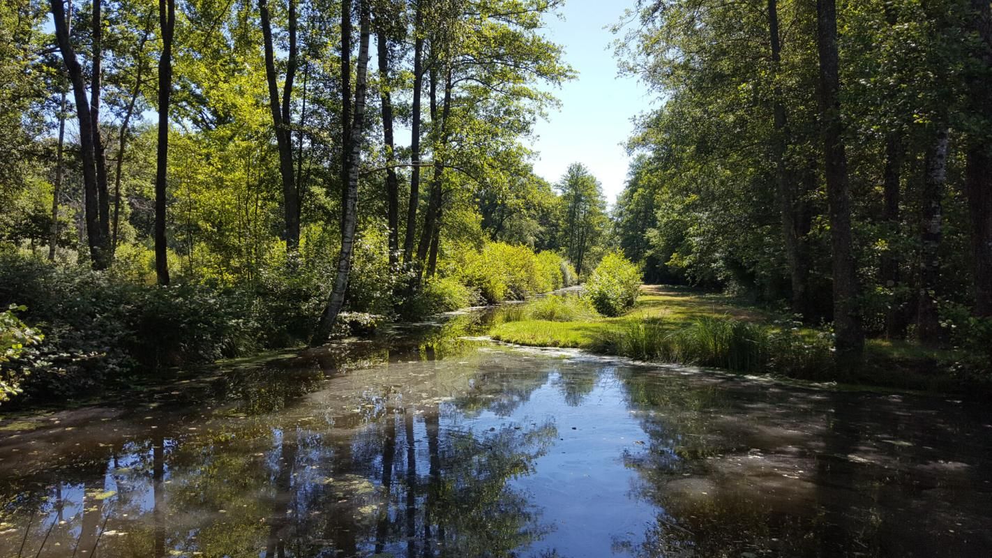 CLEMONT Propriété de chasse Clemont 4