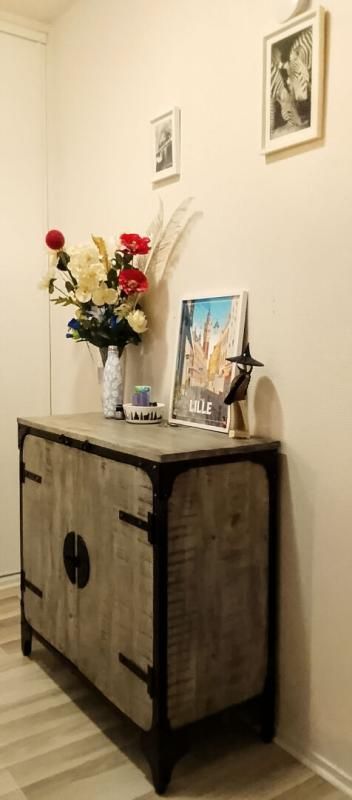 VILLENEUVE-D'ASCQ Appartement 4 pièce(s) 100 m2 au pied du Lac 2