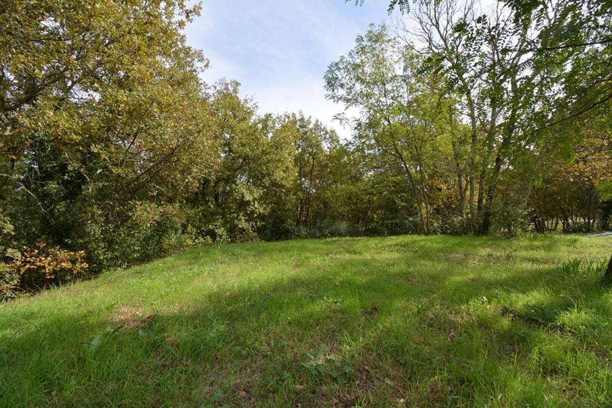 CHAUZON Terrain  1794 m2 2