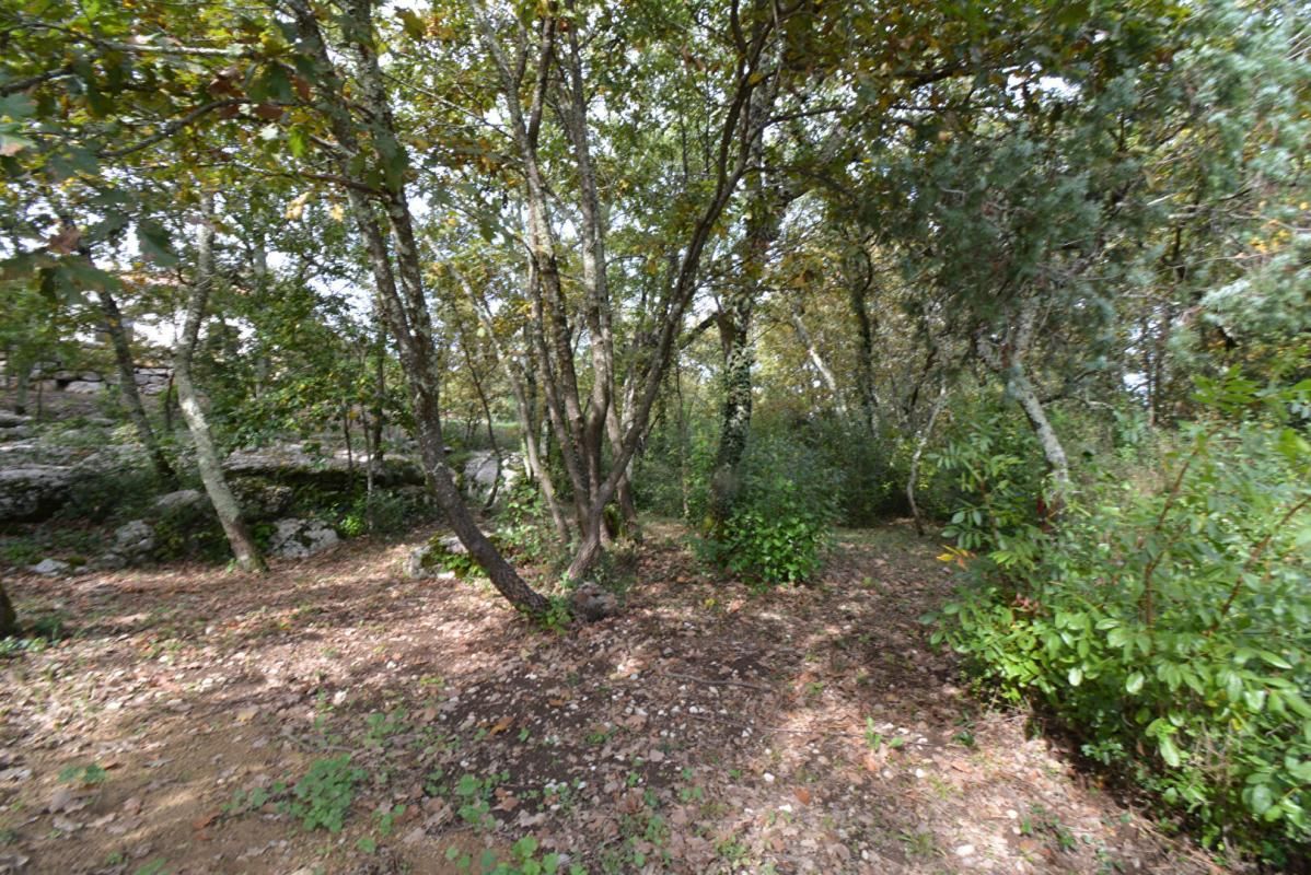 CHAUZON Terrain  1794 m2 3