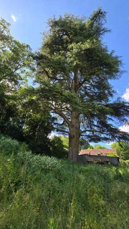 Terrain d'exception à Biard 2372 m2